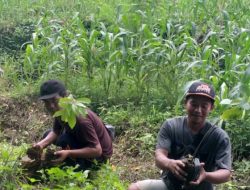 BLORA AGROVORESTRY Melakukan Penanaman di Sumber Mata Air Desa Gunungan.