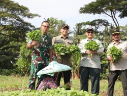 Integrasi Pertanian di Tangerang Perkuat Ketahanan Pangan Nasional Sebut Wamentan Harvick